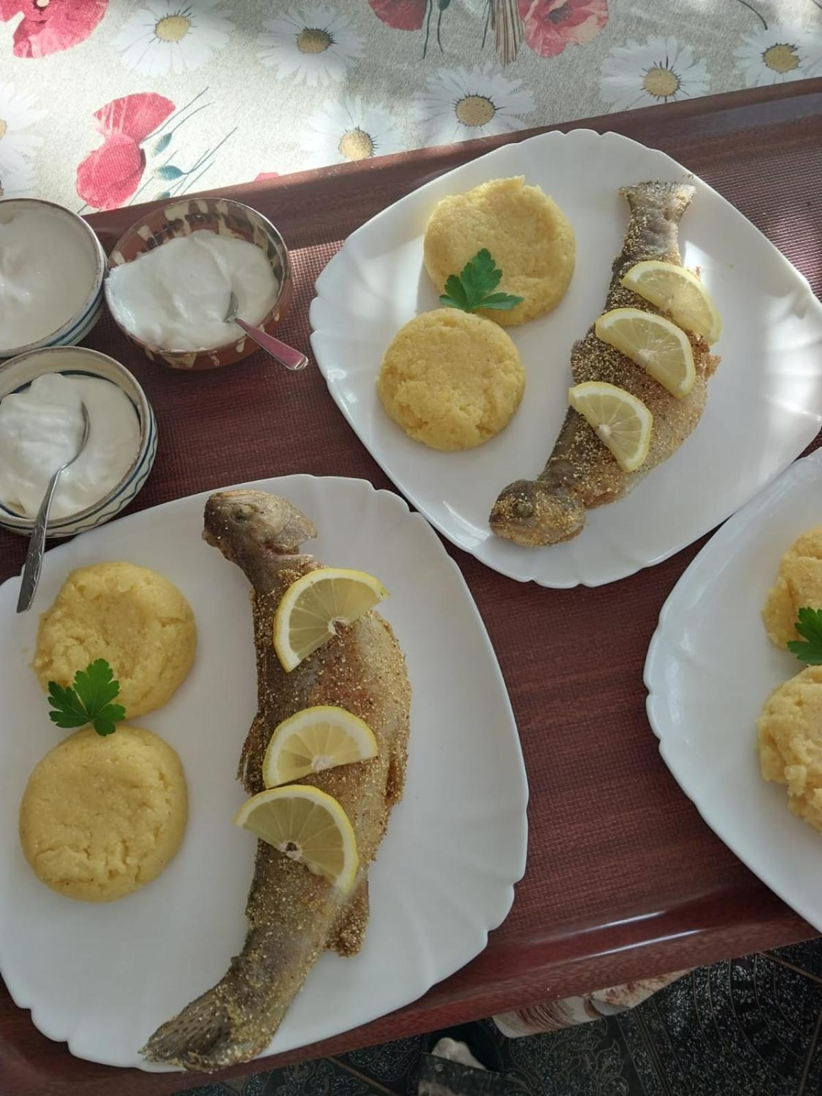 Pensiunea Ancuta Din Botiza المظهر الخارجي الصورة
